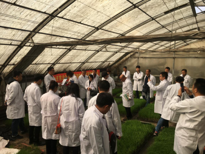 綠色農(nóng)業(yè)新篇章 '頂苗新'環(huán)保技術(shù)交流會(huì)在哈爾濱隆重召開(kāi)